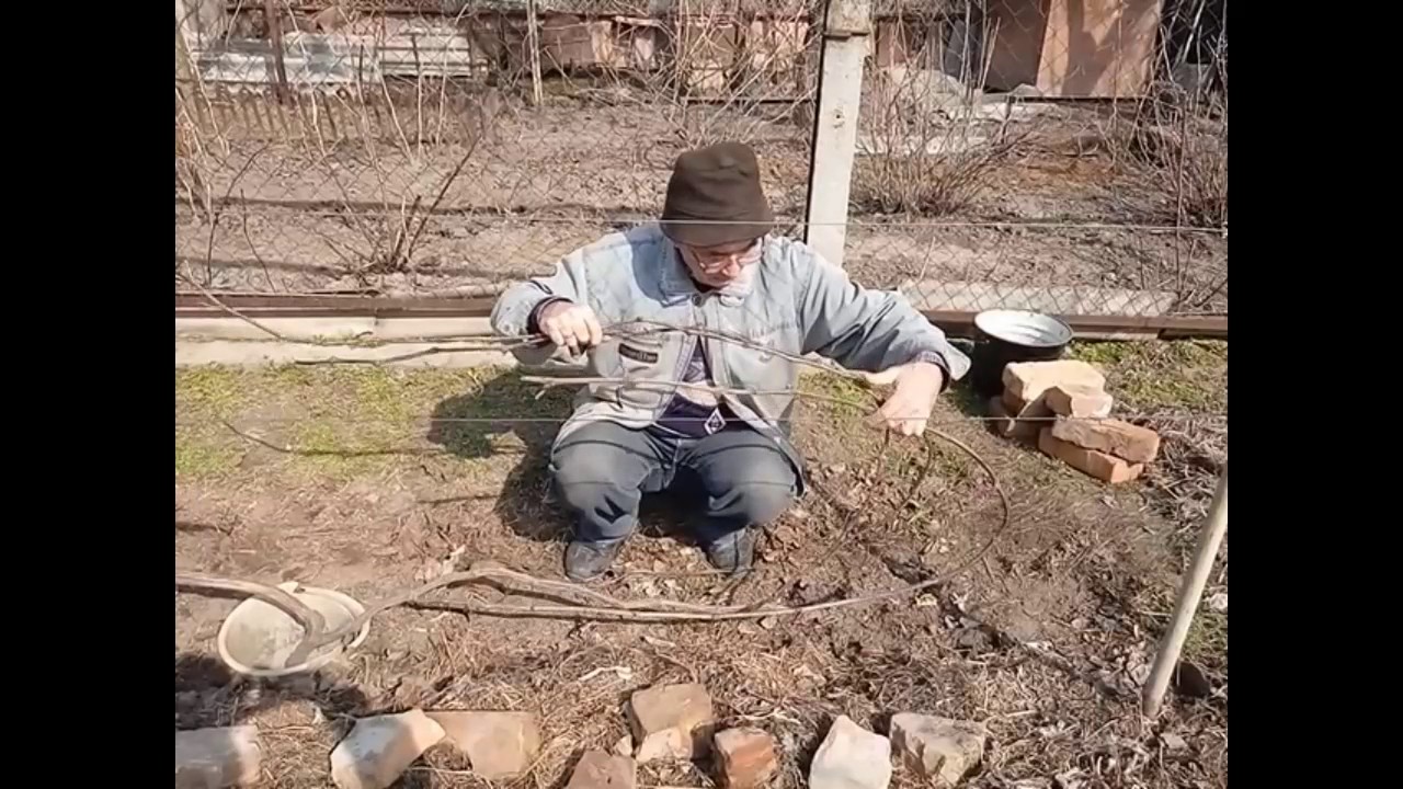 Формировка куста с изгибом рукавов петлей