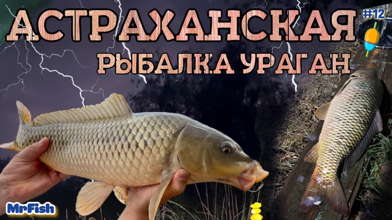 АСТРАХАНСКАЯ РЫБАЛКА УРАГАН НА АХТУБЕ КРАСОТА #рыбалкаастрахань #рыбалкаволгоград #рыбалканаволге