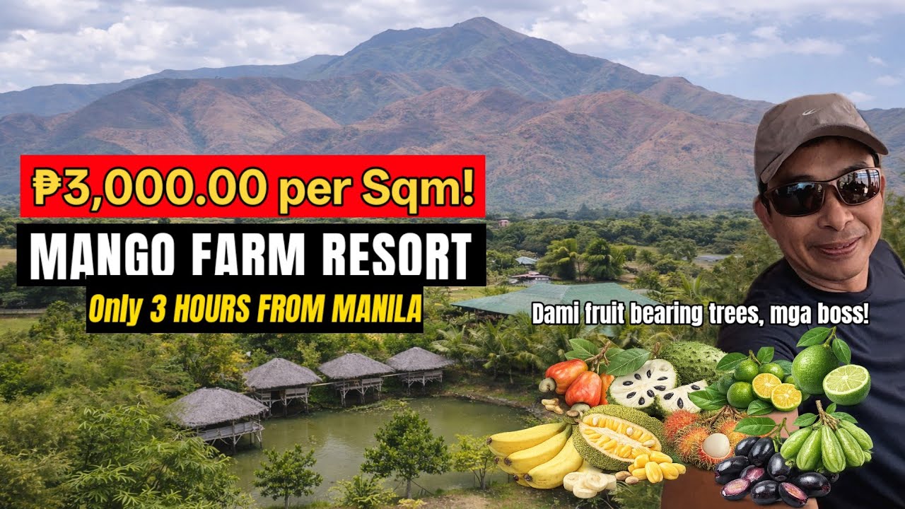 Profitable Farm Resort Opportunity in Zambales – Mango Orchard, Fishponds & Villas