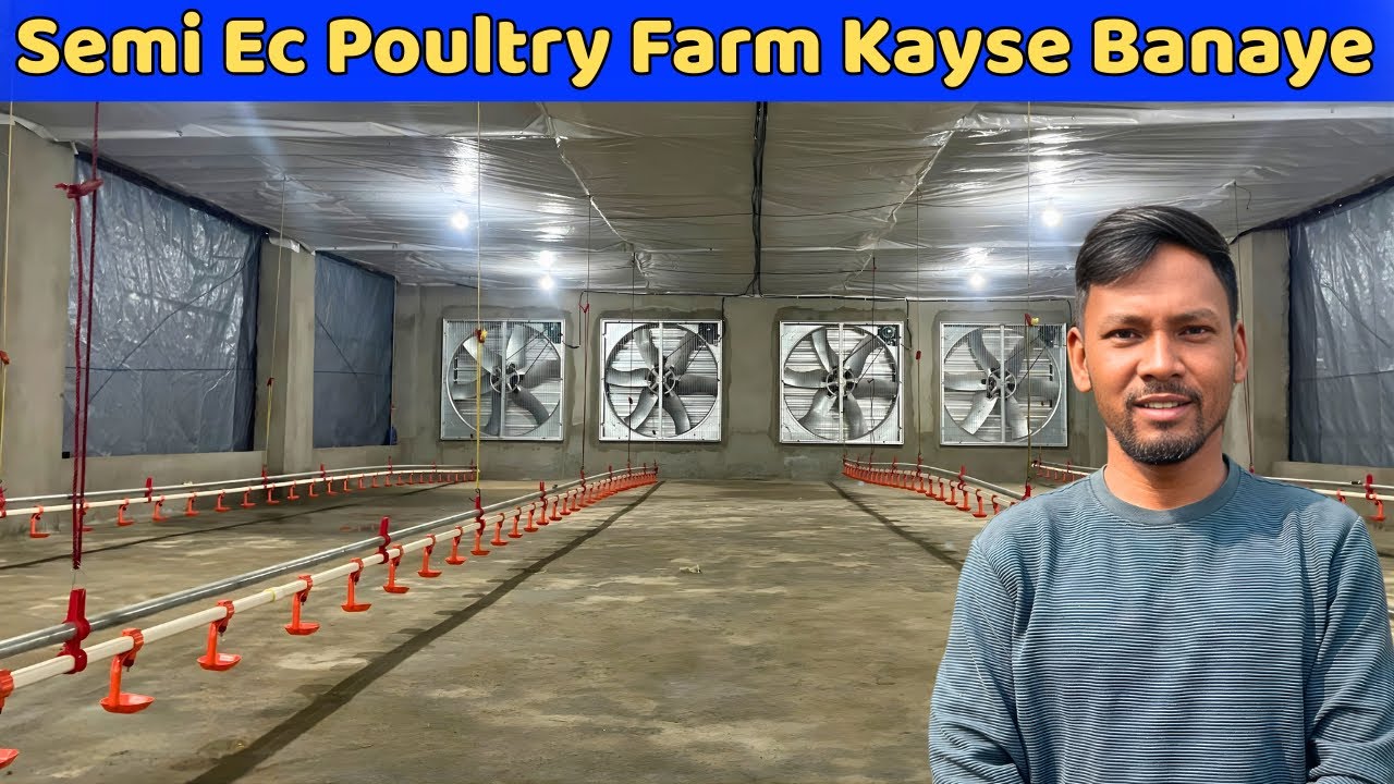 Semi Ec Poultry Farm कैसे बनाएँ