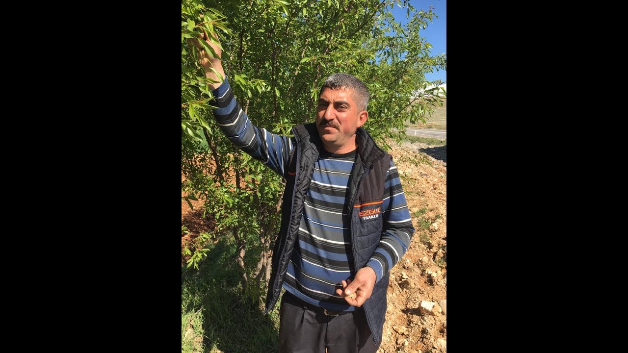SÖYLEMEZLER AHMET AVCI 3