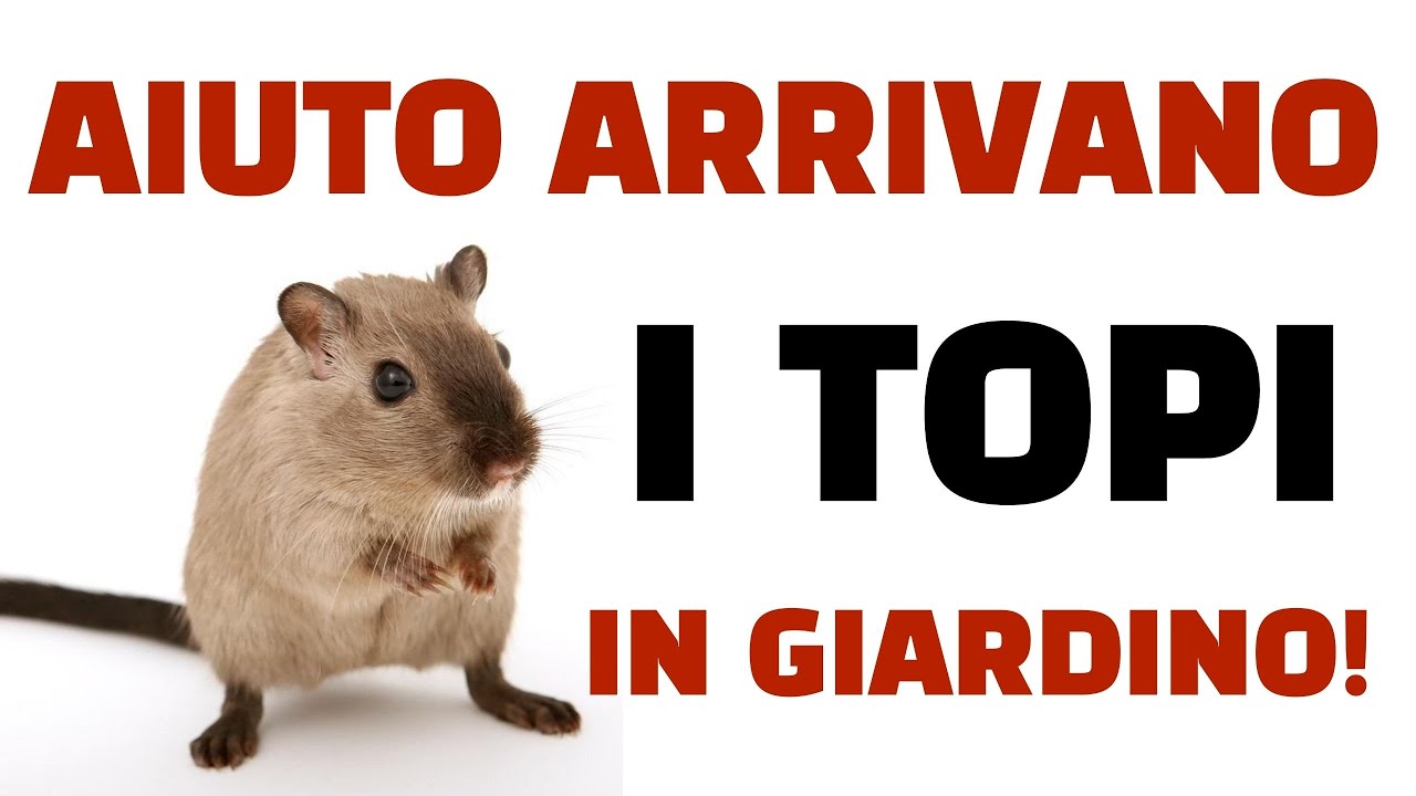 AIUTO ARRIVANO I TOPI! Il mio giardino è sotto attacco