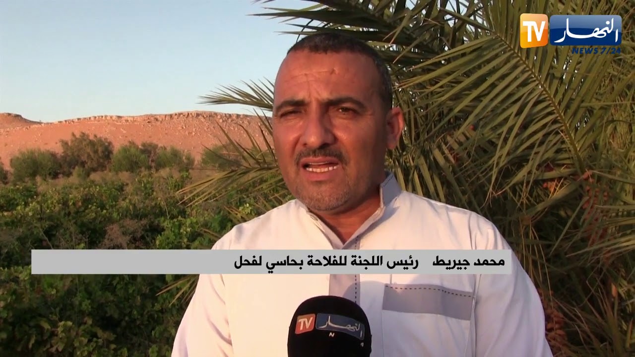 فلاحة: الفلاحة الصحراوية.. ميكانيزمات النجاح