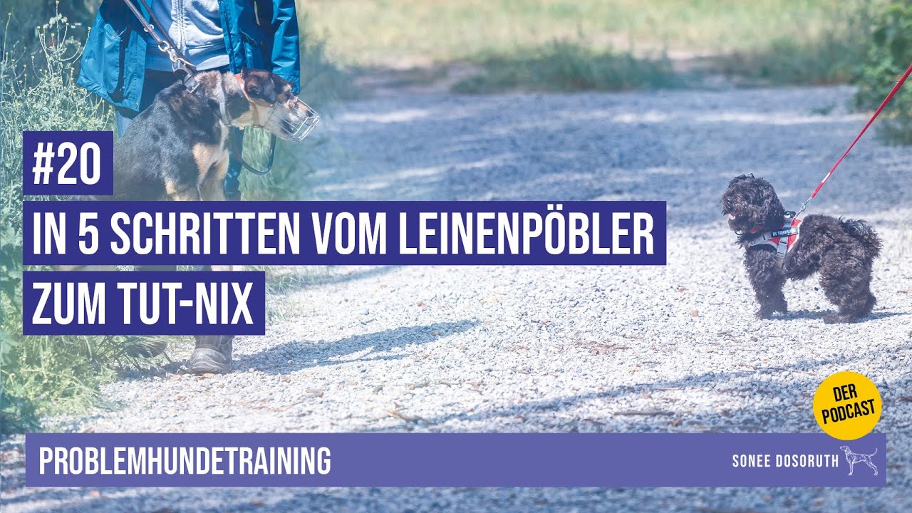 #20 In 5 Schritten vom Leinenpöbler zum Tut-Nix