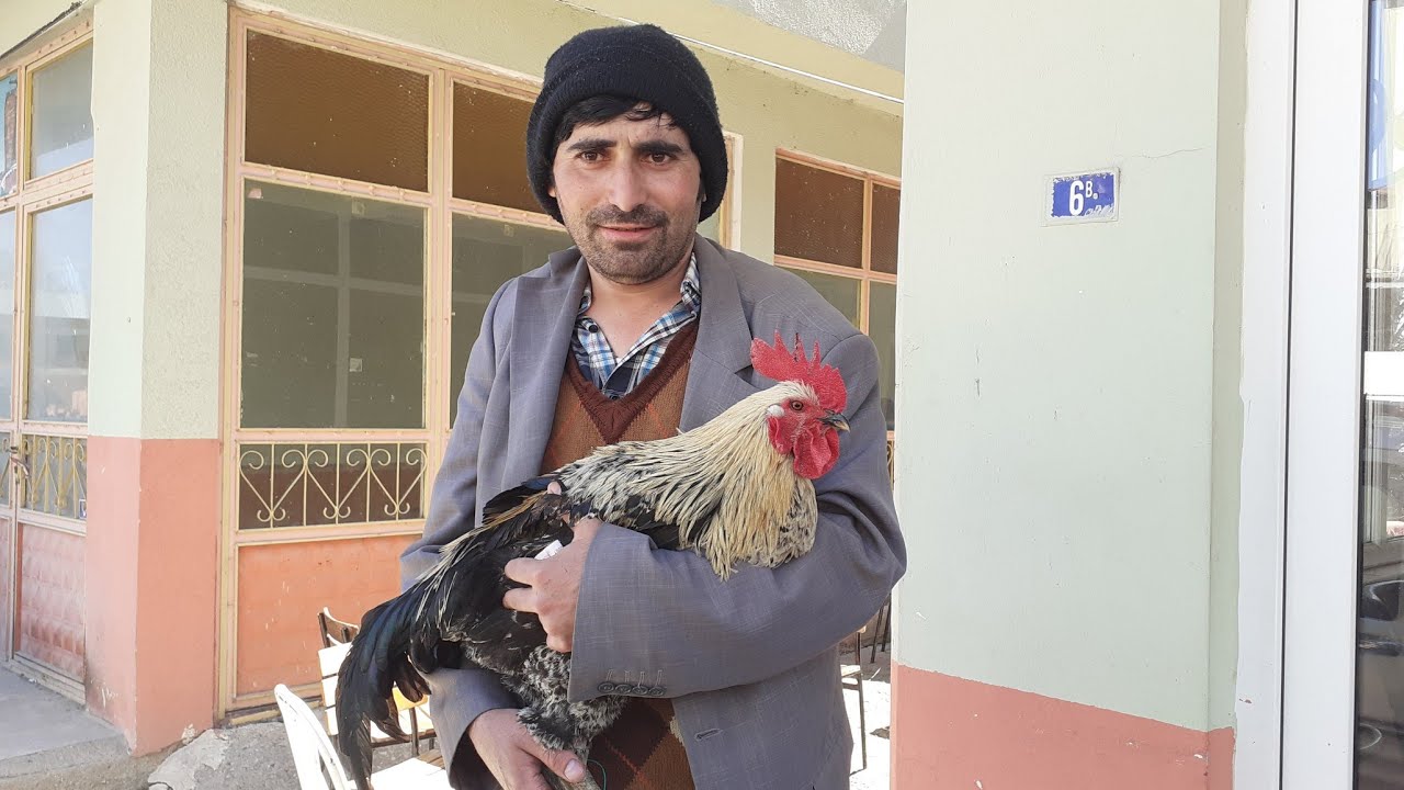 SALIH ILE PAZARA GITTIK  SARIMSAK  SATTIK  SALIH YENI HORUZ ALDI KAÇAN HORUZU MANAVDA YAKALADIK