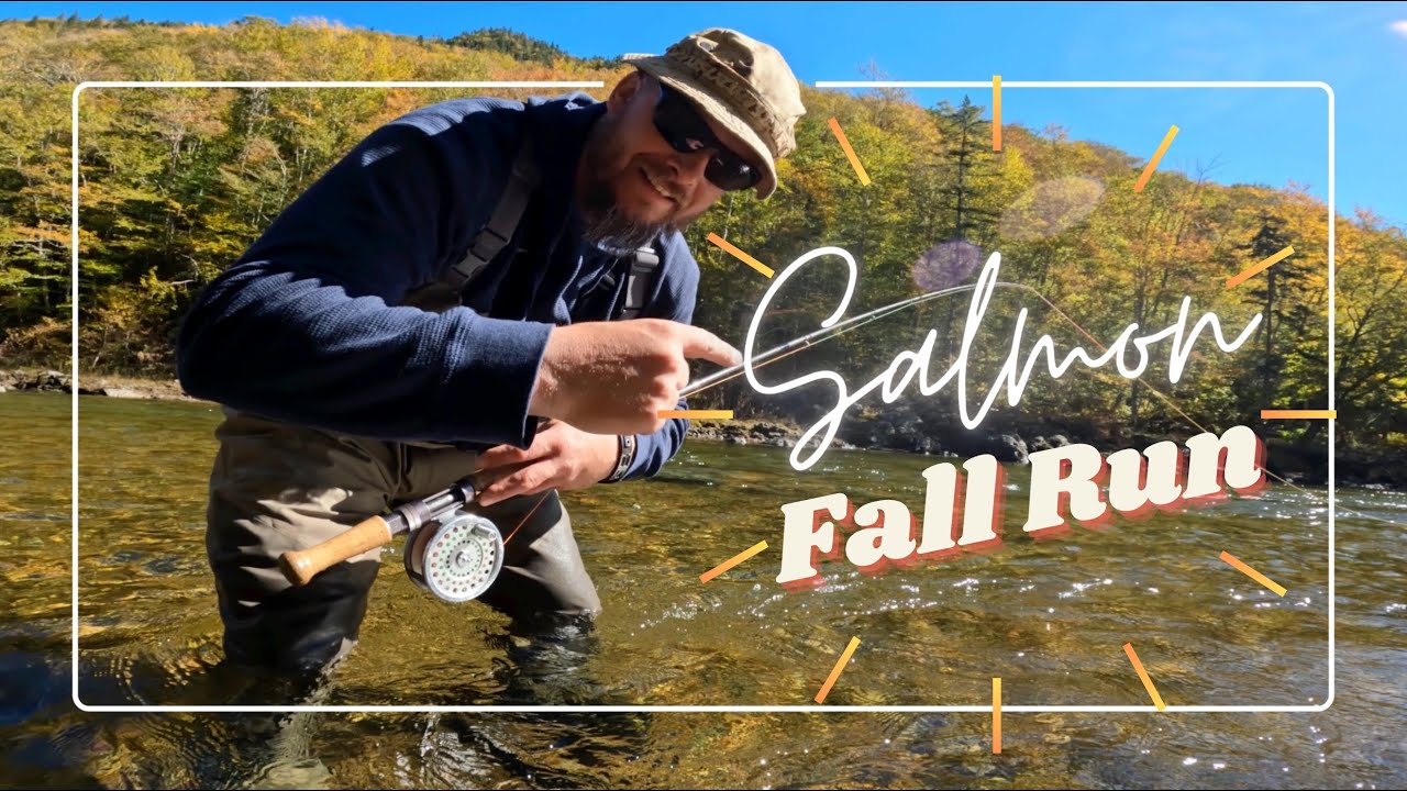 Fishing for ATLANTIC SALMON on the SPEY ROD - The Fall Chase - MARGAREE River's SKYE & WARDS pools