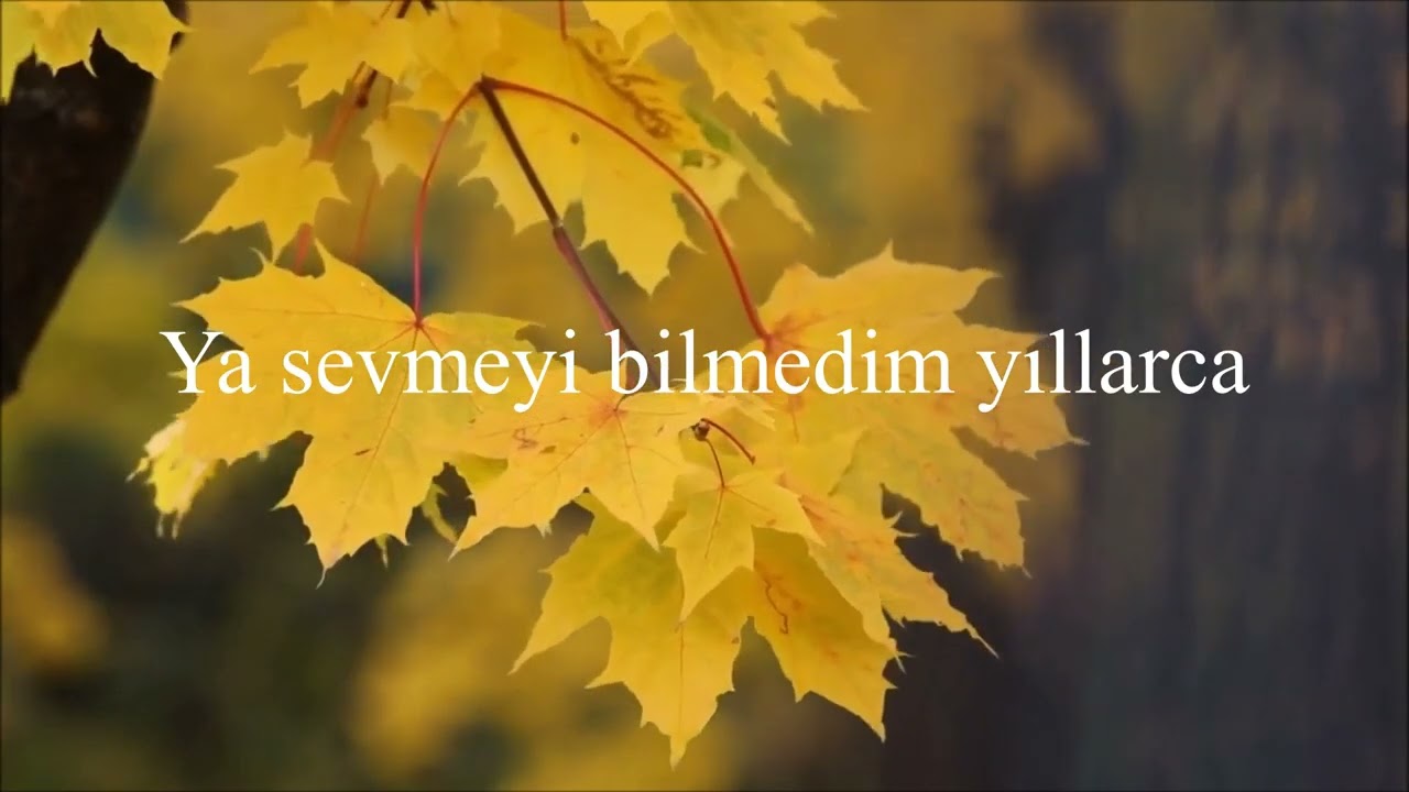 GÜZ GÜLLERİ Karaoke
