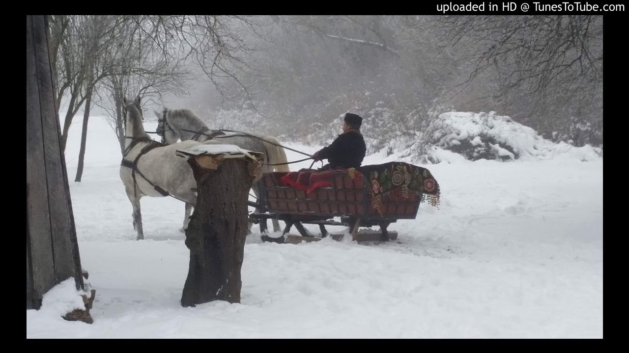 Slavonci - Od salaša do salaša