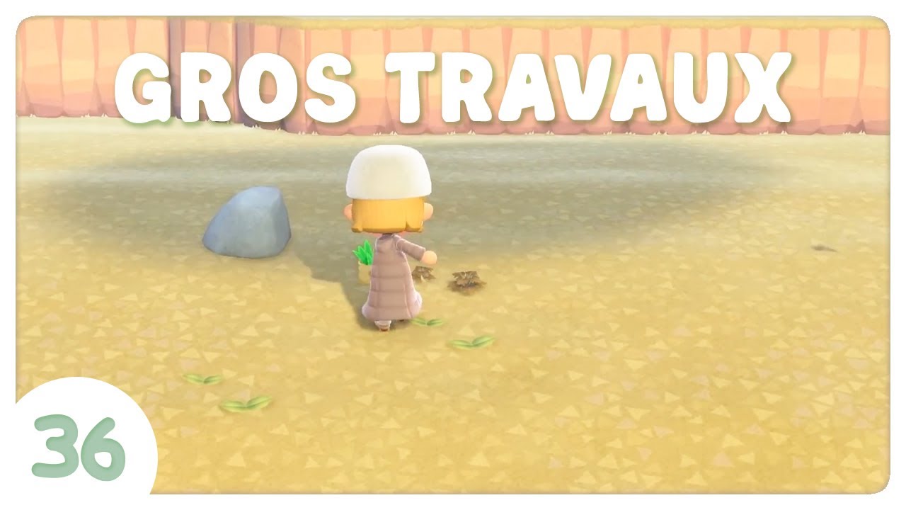 🦺 Gros travaux sur Lubie ! #36 | Animal Crossing New Horizons