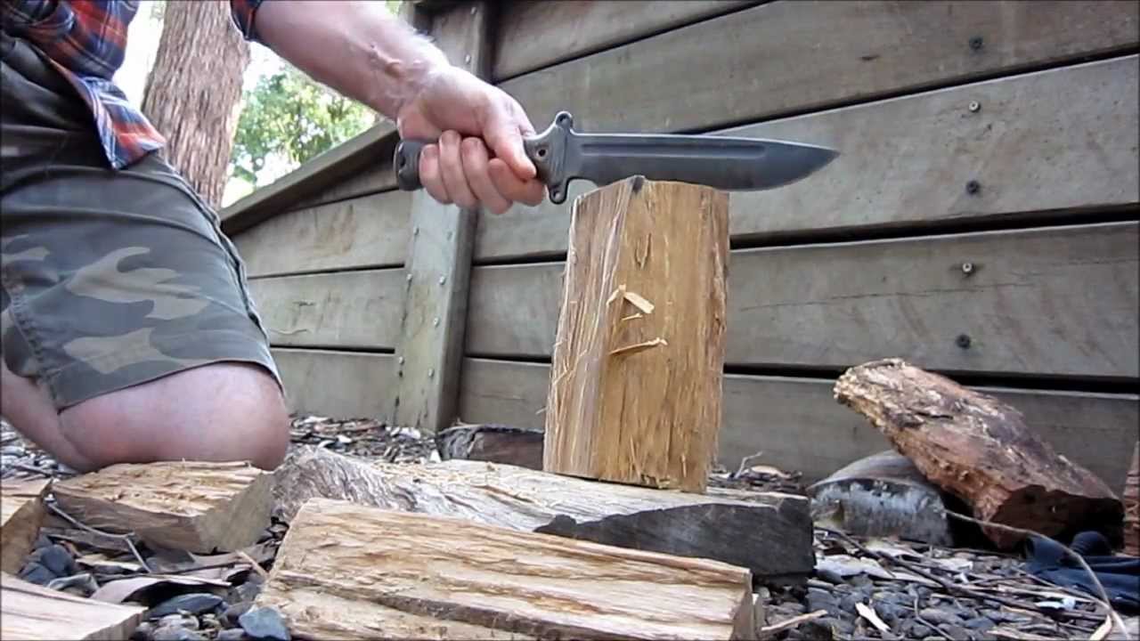 Busse Team Gemini