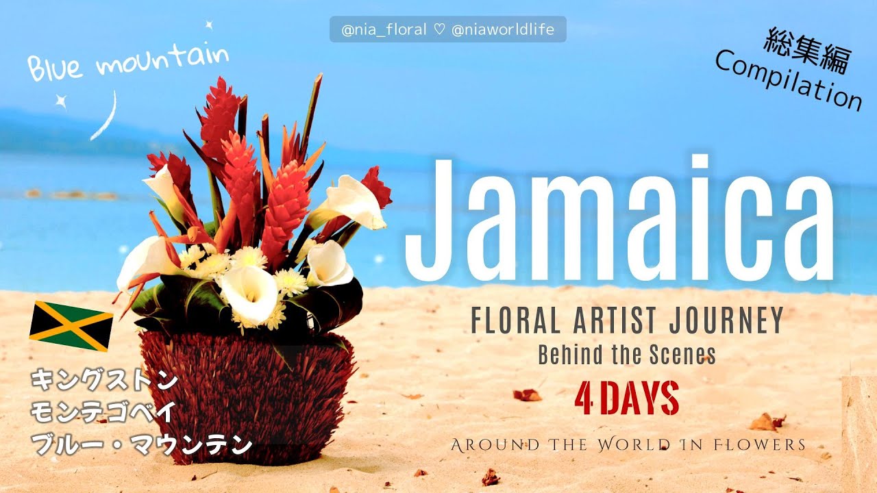 【Jamaica 総集編】最高すぎる⭐️ジャマイカ旅を一気見🇯🇲世界遺産ブルー・マウンテンの秘境Cafe☕️モンテゴベイ & キングストン🚌山奥のクラブ🍺カリブ海の絶景🏖️