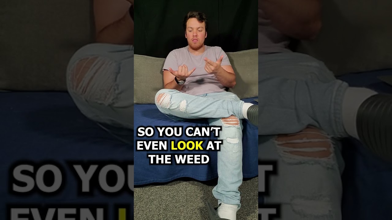 Smoking black market weed 🤡🤮