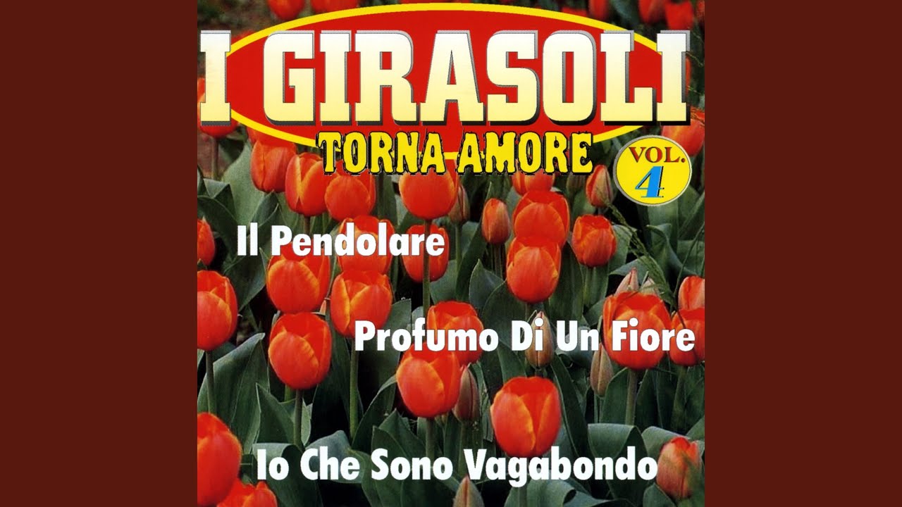 Torna amore