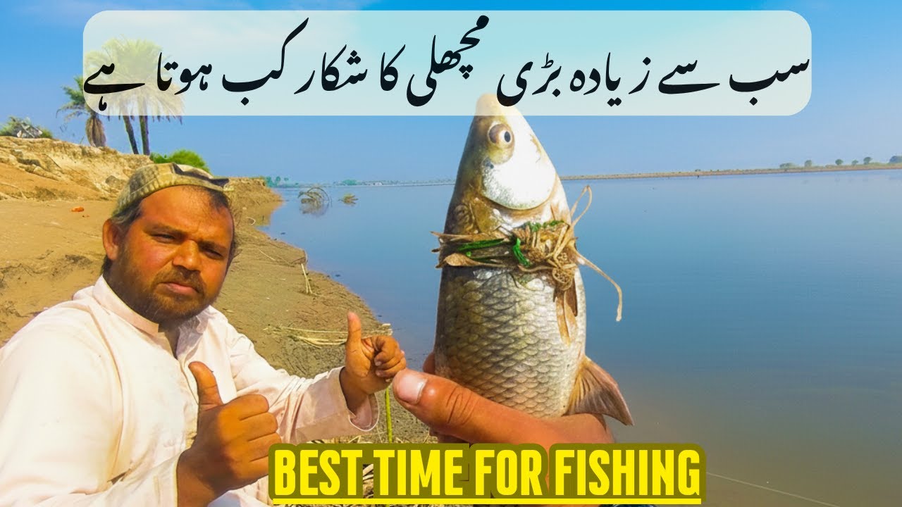 &ldquo;Best time to Catch Big Fish: Proven Fishing Tips & Tricks for 2025&rdquo; Fishing by locals