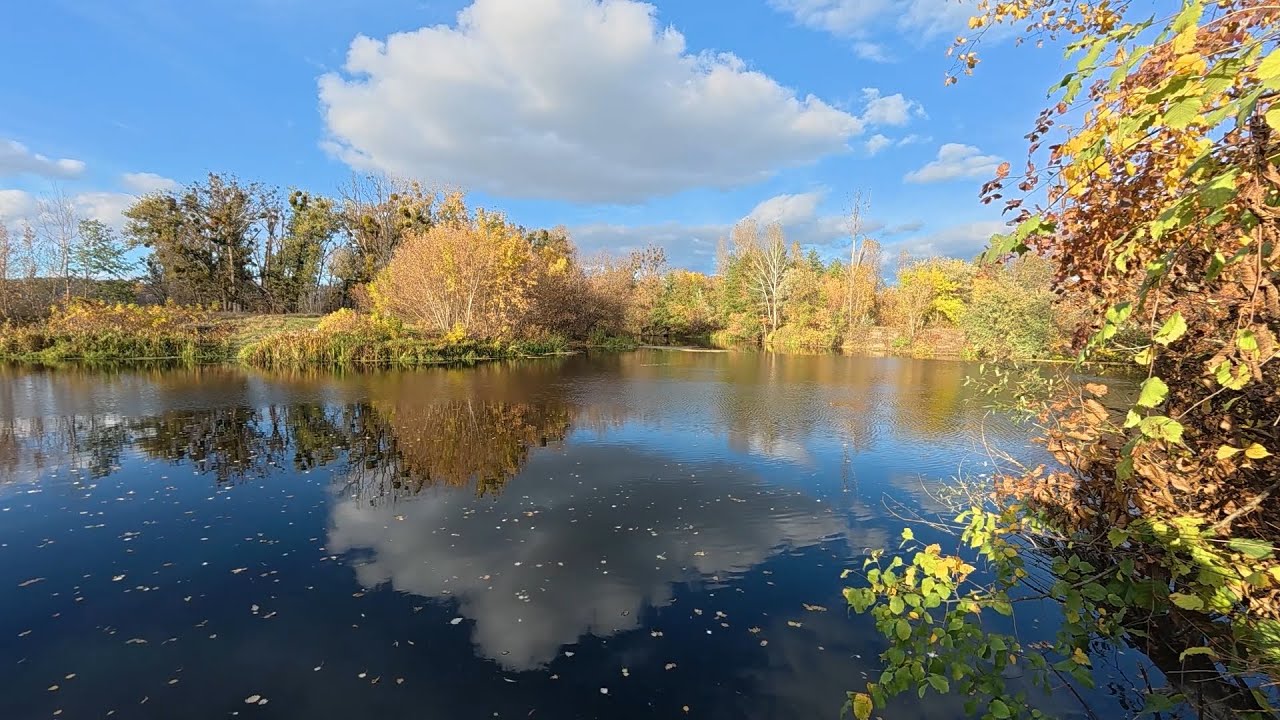 Третій шанс для щуки.