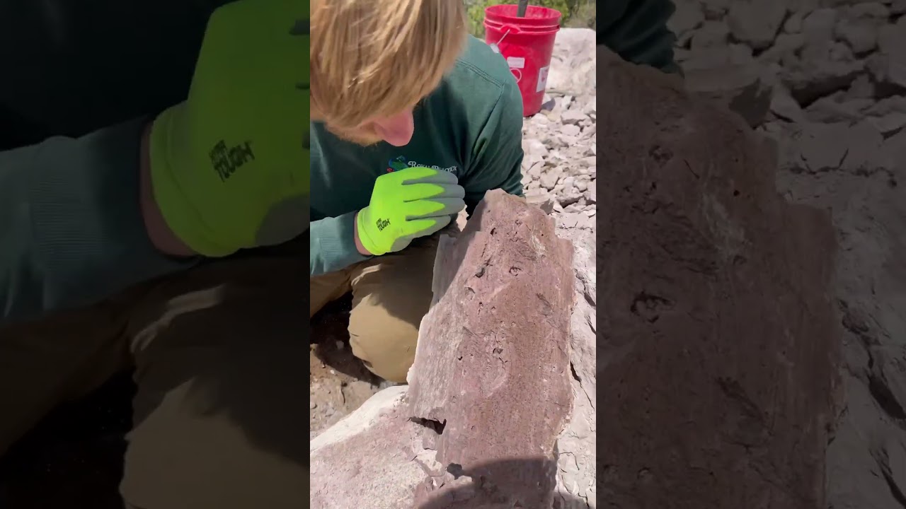 You can find rare gems for free!! Ely Nevada 🏔️