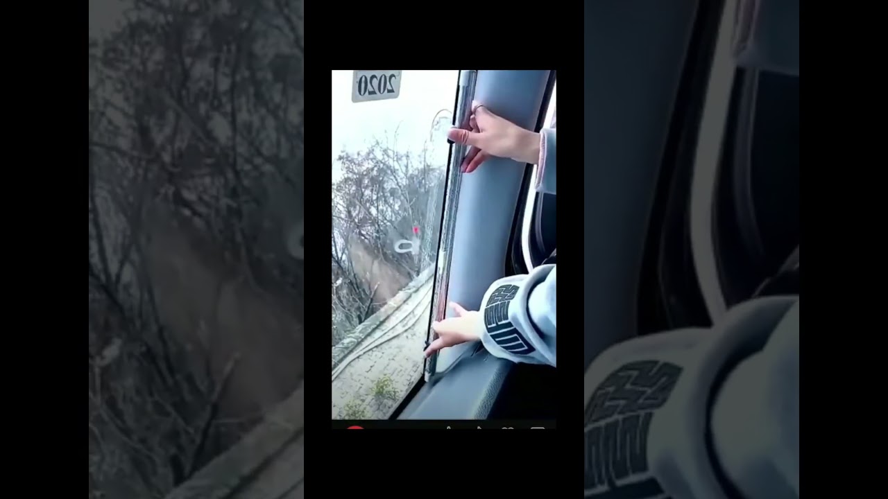 How to Fit Car Sun Blinds | Car Curtains | Roller blinds 💀 #subscribe #trending #SWANTECH