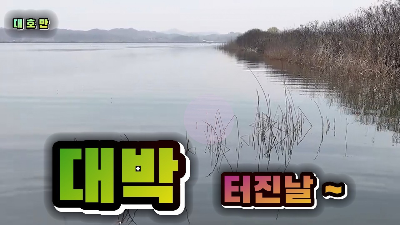 이시기 누구나 ~ 잡는  #사짜가 터진다.  #fishing #낚시 #붕어낚시 #붕어 #리얼프레임 #라이어글루텐 #리더팀클럽 #슬로우찌