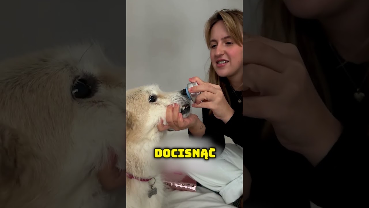👃Pokazał jak powstał MILIONERKĄ dzięki NOSOM 😱💵 (@tessa.jwl)