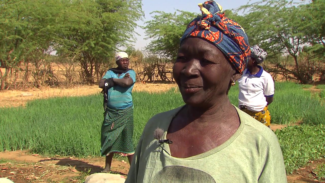 Burkina Faso au vert : Paroles d'acteurs de l'agroécologie