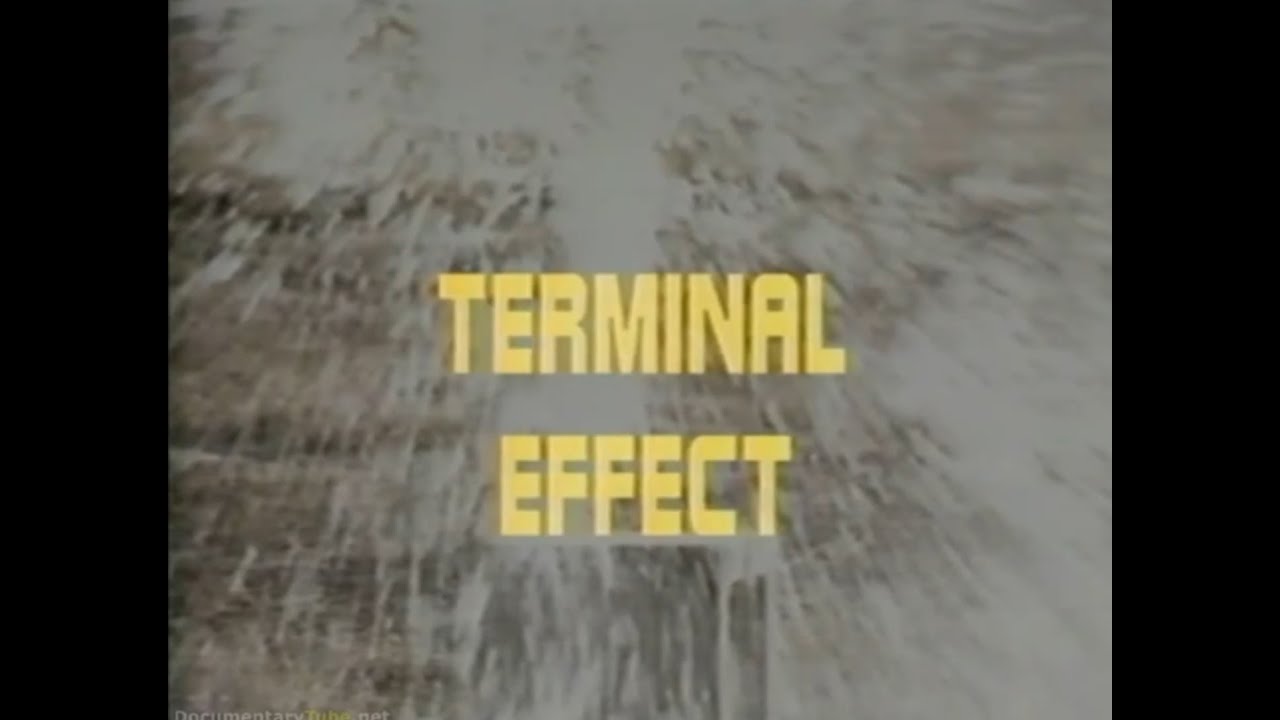 Weapons of West Point -02- Terminal Effect