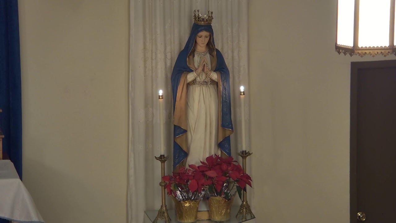 Rosary, February 3, 2026