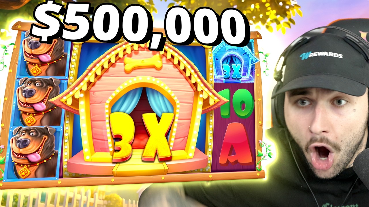 I WON HALF A MILLION ON THE *NEW* THE BIG DOG HOUSE!!! (MAX BETS)