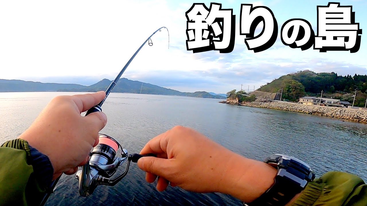 魚影が濃すぎる島のアジングが楽しすぎる