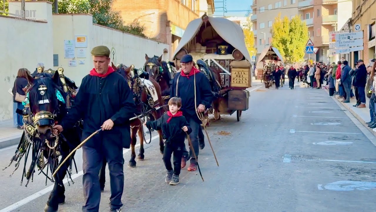TRES TOMBS de SANT ANTONI 47a Edició - INICI Carretera del Pla - Valls 2026 - Episodi nº 1