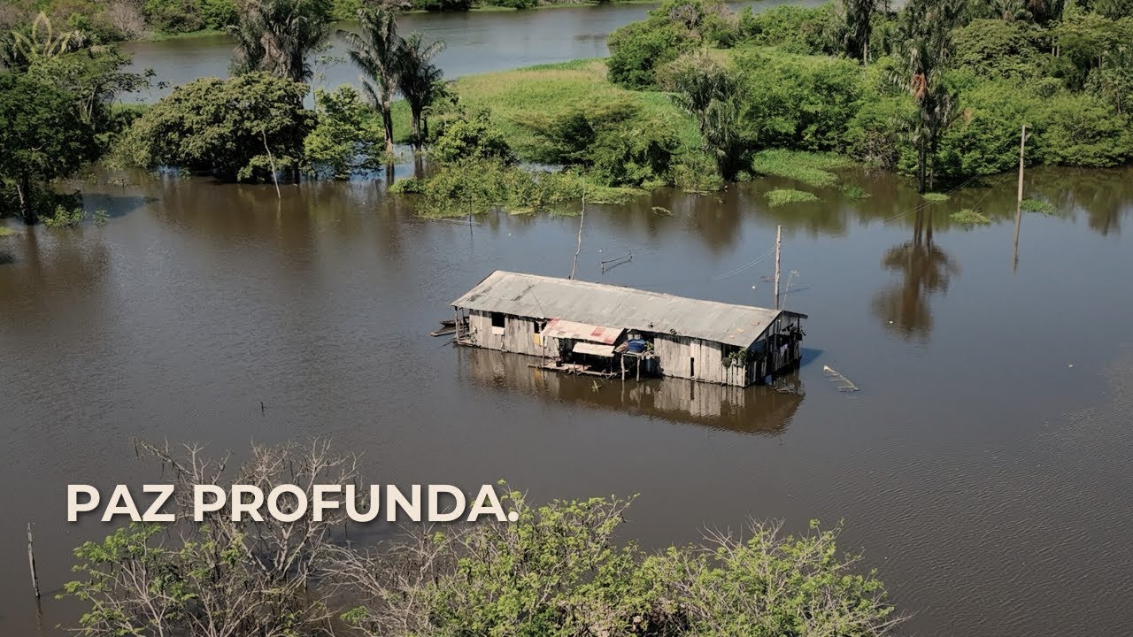 Amazônia em Silêncio 🌿 Sons da Floresta Tropical para Relaxar, Dormir e Desacelerar | 30 Min 4K