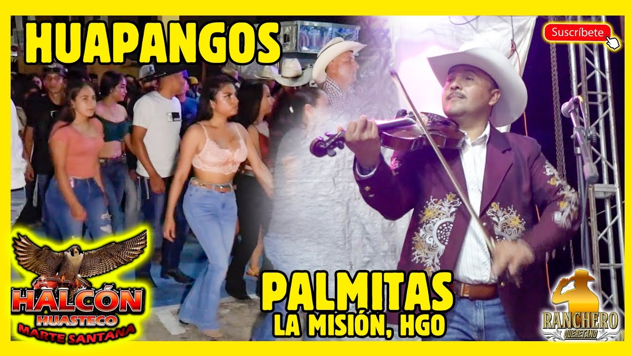 Halcon Huasteco en Las Palmitas La Mision Hidalgo 2022