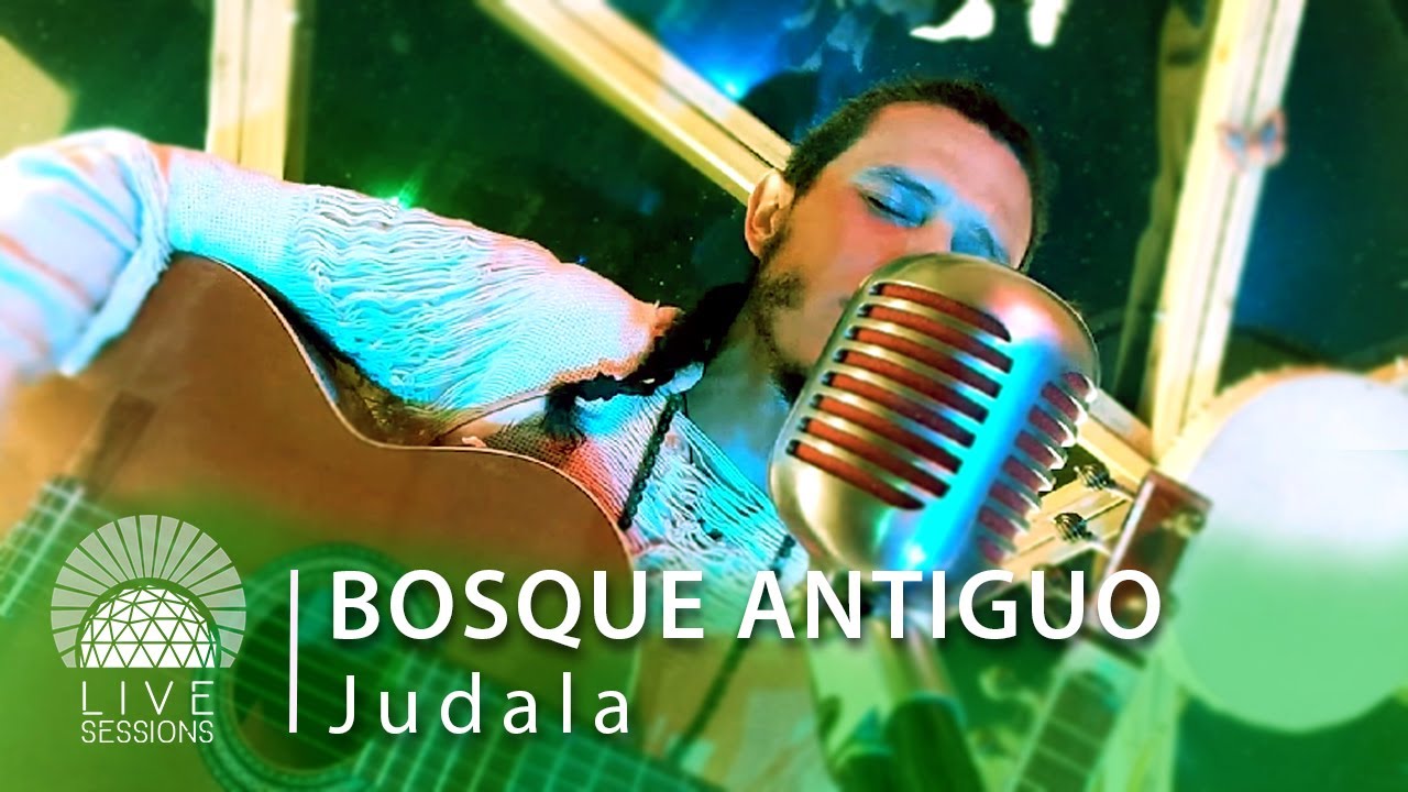 BOSQUE ANTIGUO  &middot;  JUDALA  |  Sirio Live Sessions (M&uacute;sica medicina en vivo)