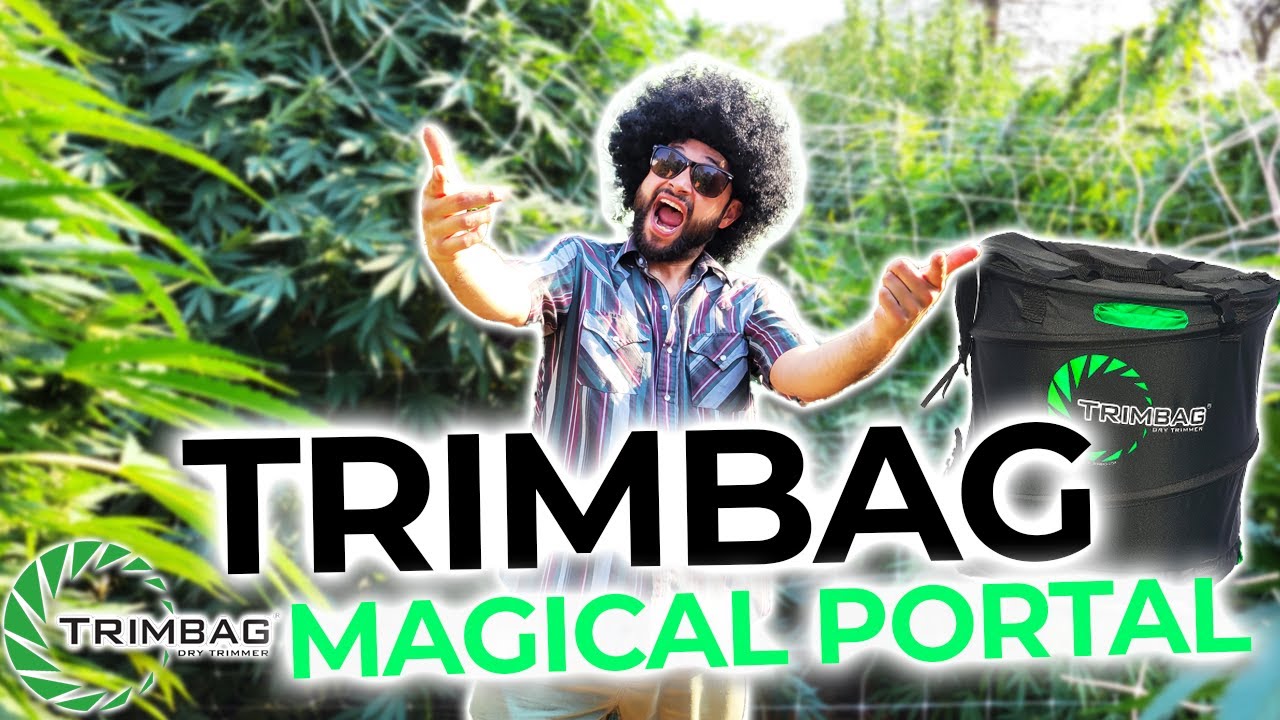 The Trimbag Magical Portal!