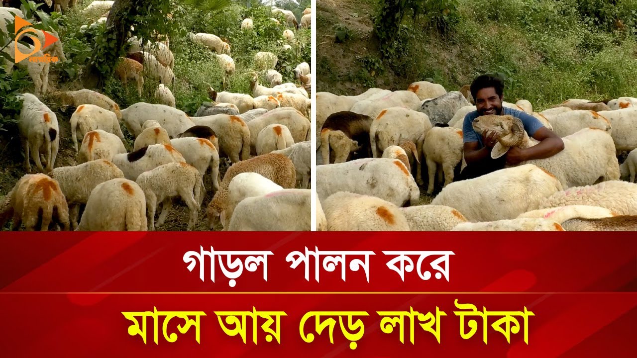 পাগল বলে বিদ্রুপ করা রাশেদ এখন অর্ধ কোটি টাকার মালিক | Nagorik TV Special