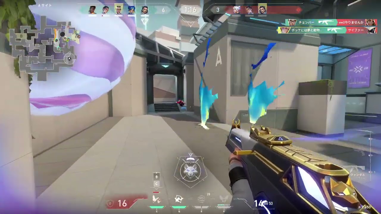 ハイライト２４