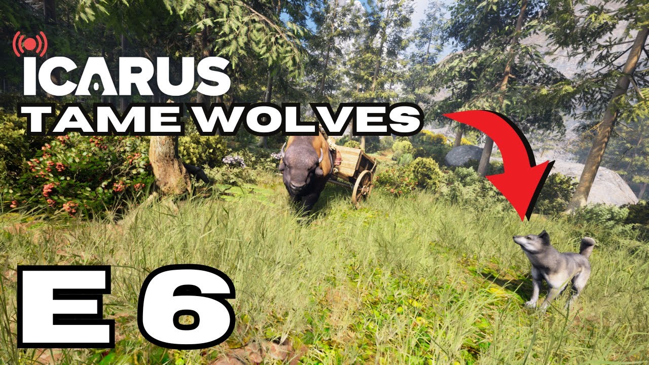 Icarus From Zero – Episode 6 🔴 Live | Wolf Packs, Operations & AMA