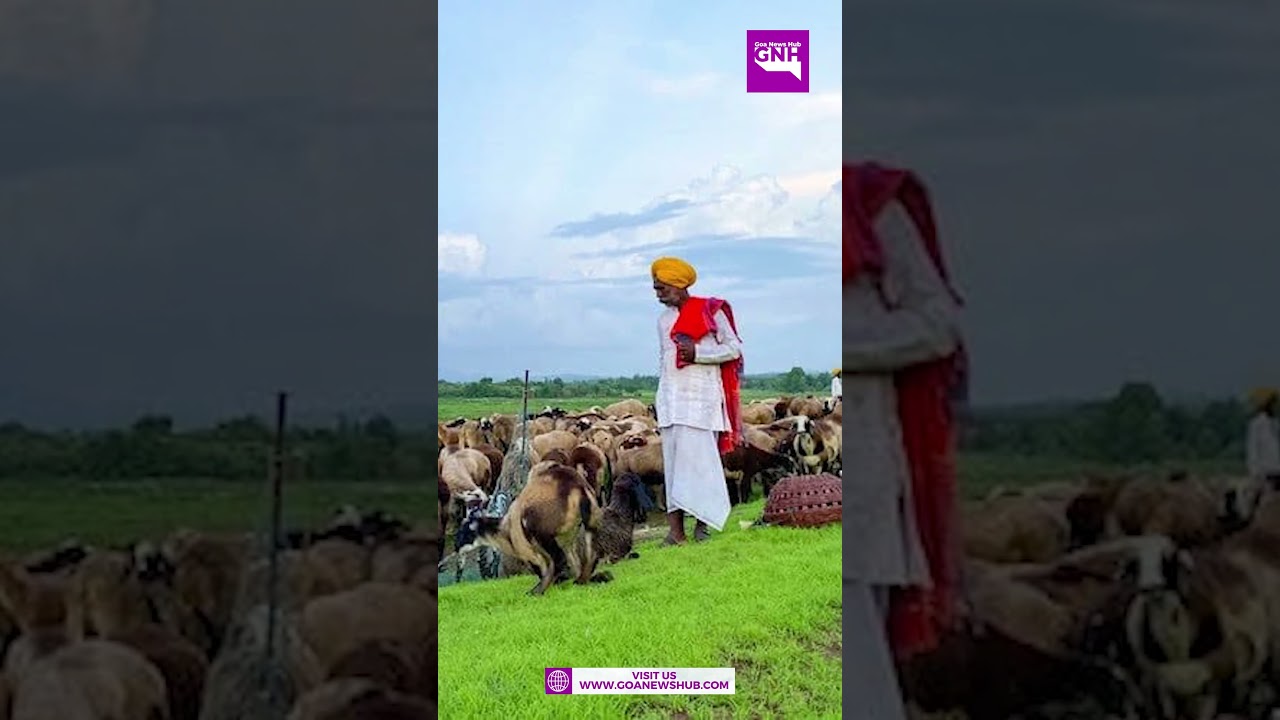 KAUN BANEGA ST MLA?