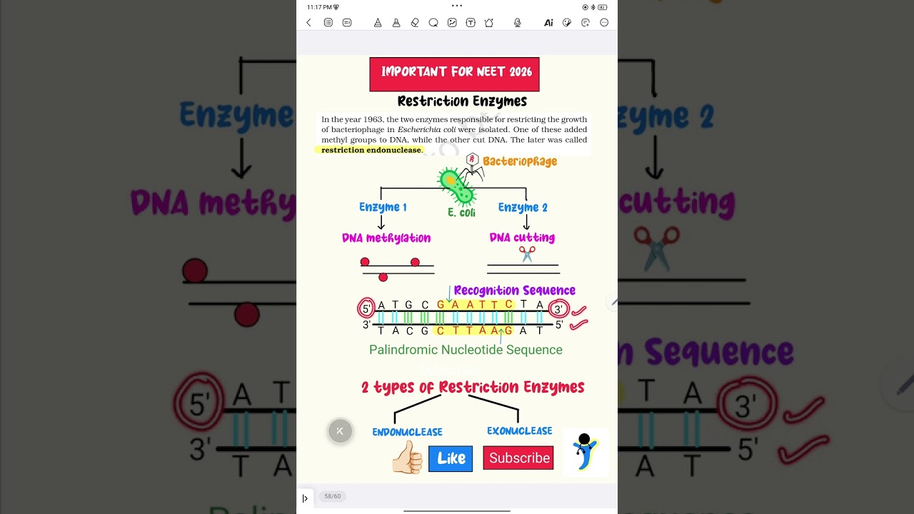 Restriction Enzymes| Biotechnology| NEET 2026| #neet2026 #neetconcepts #neetbiology 