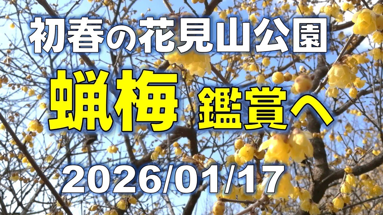 初春の花見山公園を訪ねる