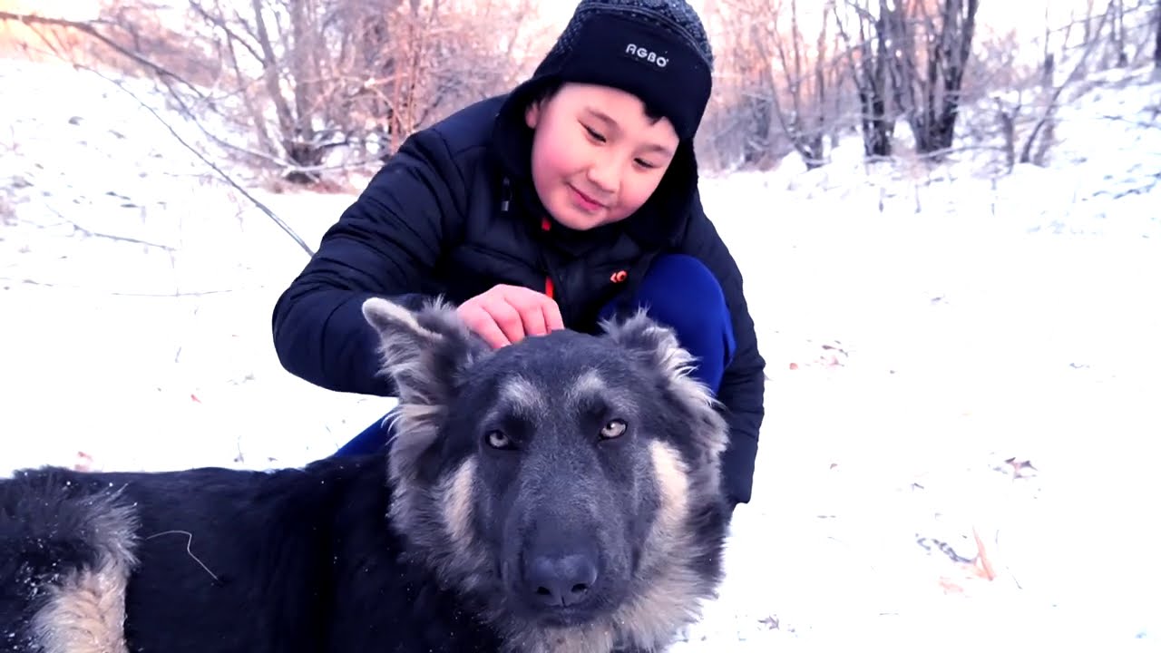 СОБАКА ДРУГ ЧЕЛОВЕКА!!!