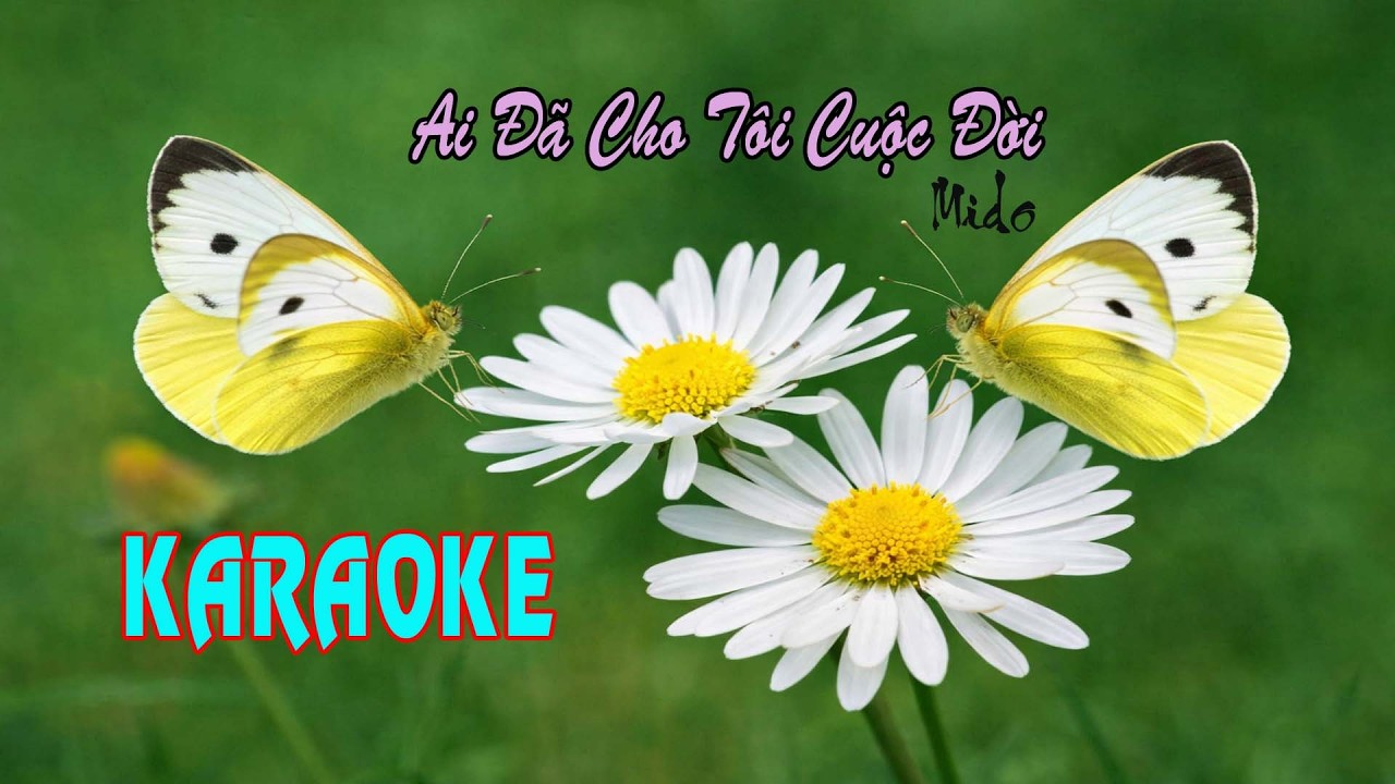 Karaoke: Ai Đã Cho Cuộc Đời - Mido