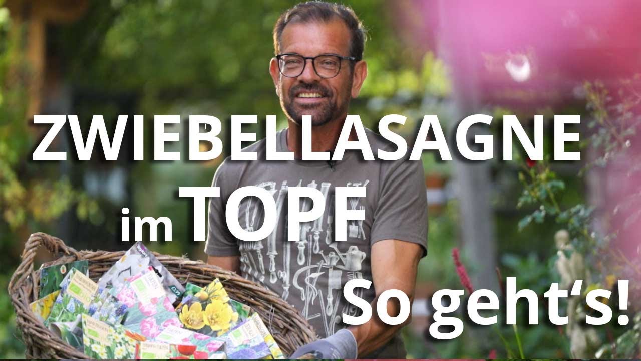 ZWIEBELLASAGNE im TOPF – Blüten von Februar bis Mai
