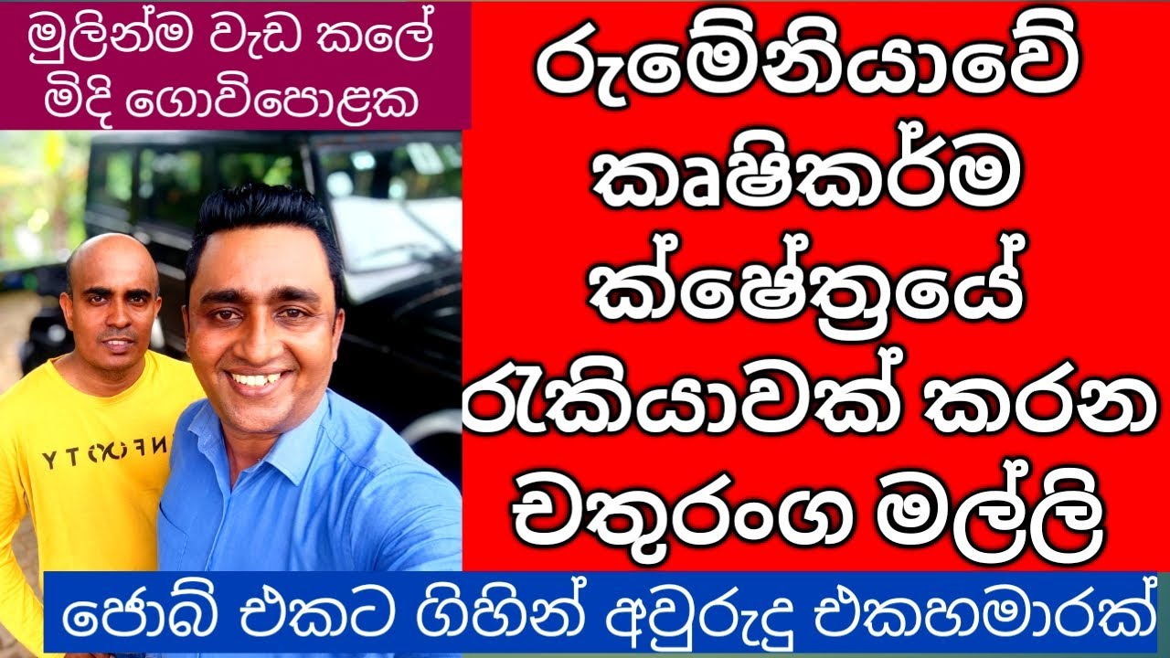 Exciting Agriculture Job Opportunities in Romania for Sri Lankans රුමේනියාවේ කෘෂිකර්ම රැකියා අවස්ථා