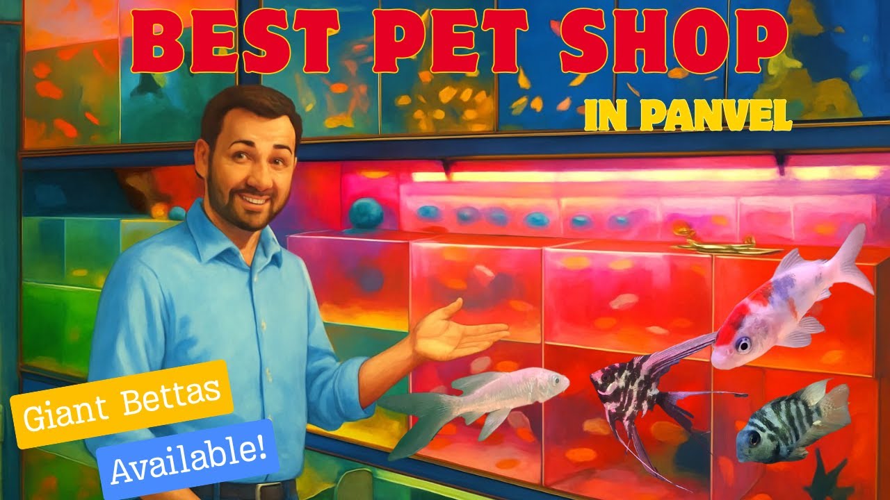 Best Pet Shop in Panvel | Why You Should Get Your Pet in Panvel