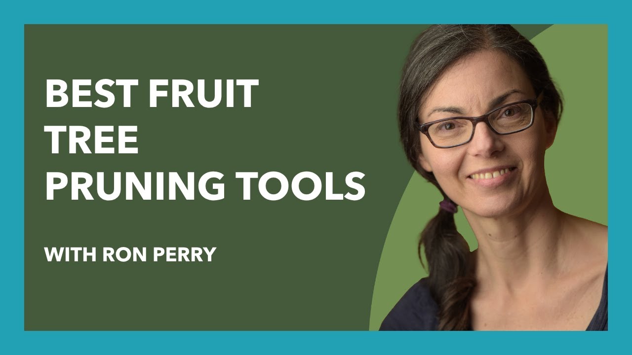 Best Fruit Tree Pruning Tools with Ron Perry #fruittreepruning #fruittreecare