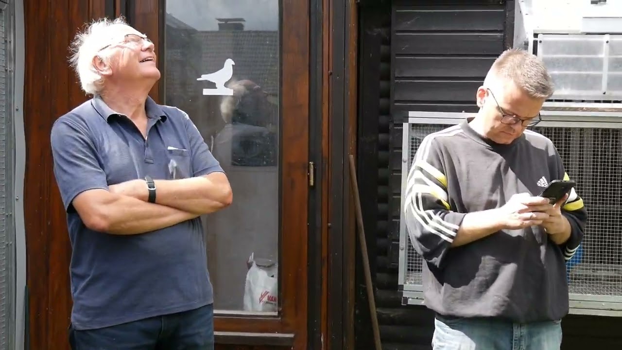 Der 11. Preisflug 2022 / 11. pigeon race