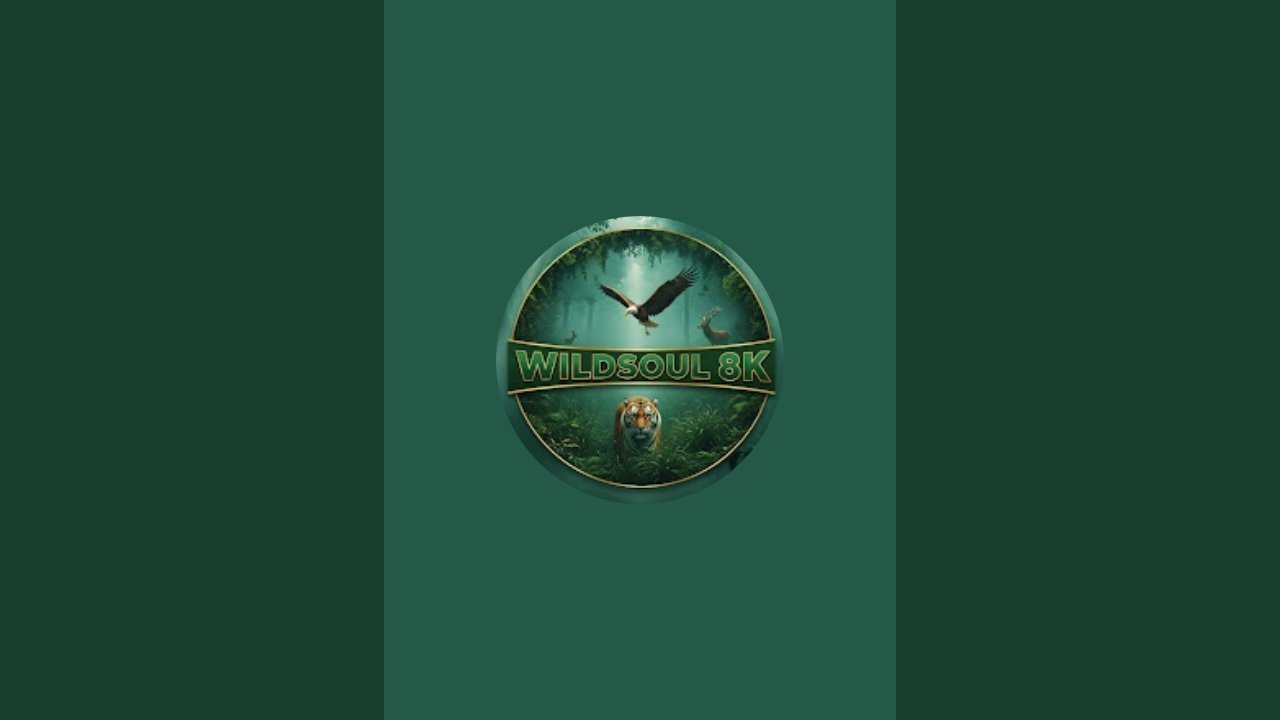 Wildsoul 8k is live!