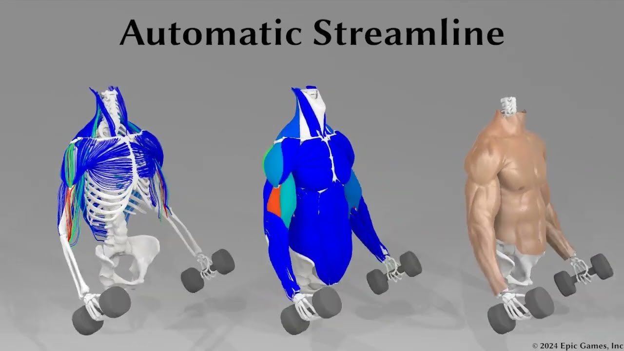 (SIGGRAPH 2024) A Neural Network Model for Efficient Musculoskeletal-Driven Skin Deformation
