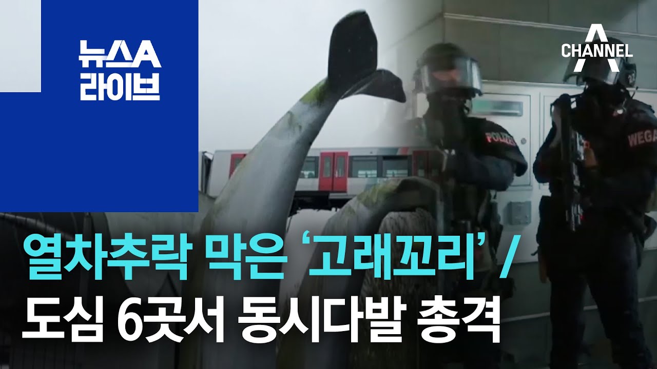 [세상터치]열차추락 막은 &lsquo;고래꼬리&rsquo; / 도심 6곳서 동시다발 총격 | 뉴스A 라이브