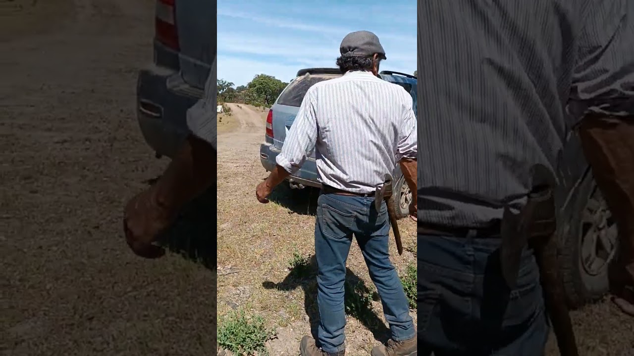 contentos con la faena del bornizo